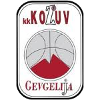 https://img.aytaaf.com/img/basketball/team/4b06fe02aaa7da5901e5698485059da0.png