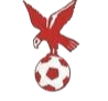 https://img.aytaaf.com/img/football/team/4802d26df935b78bb2fcdbbff36e8864.png